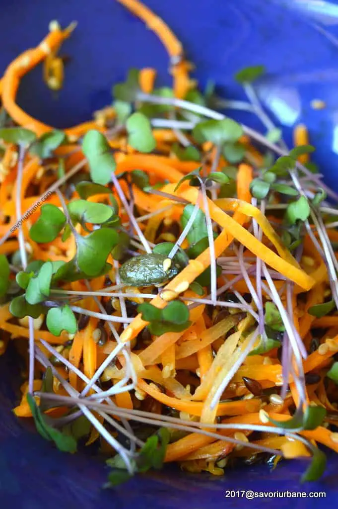 reteta salata de morcovi calduta sau rece cu microplante si seminte (3)