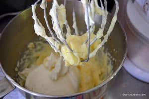 reteta crema de cocos cu vanilie si mascarpone (1)