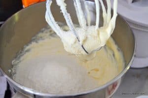 reteta crema de cocos cu vanilie si mascarpone (2)