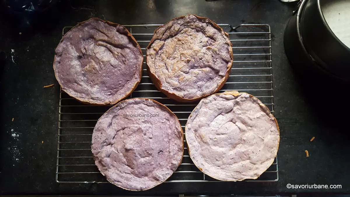 blat de tort in degrade pentru tort ombre gradient natural (3)