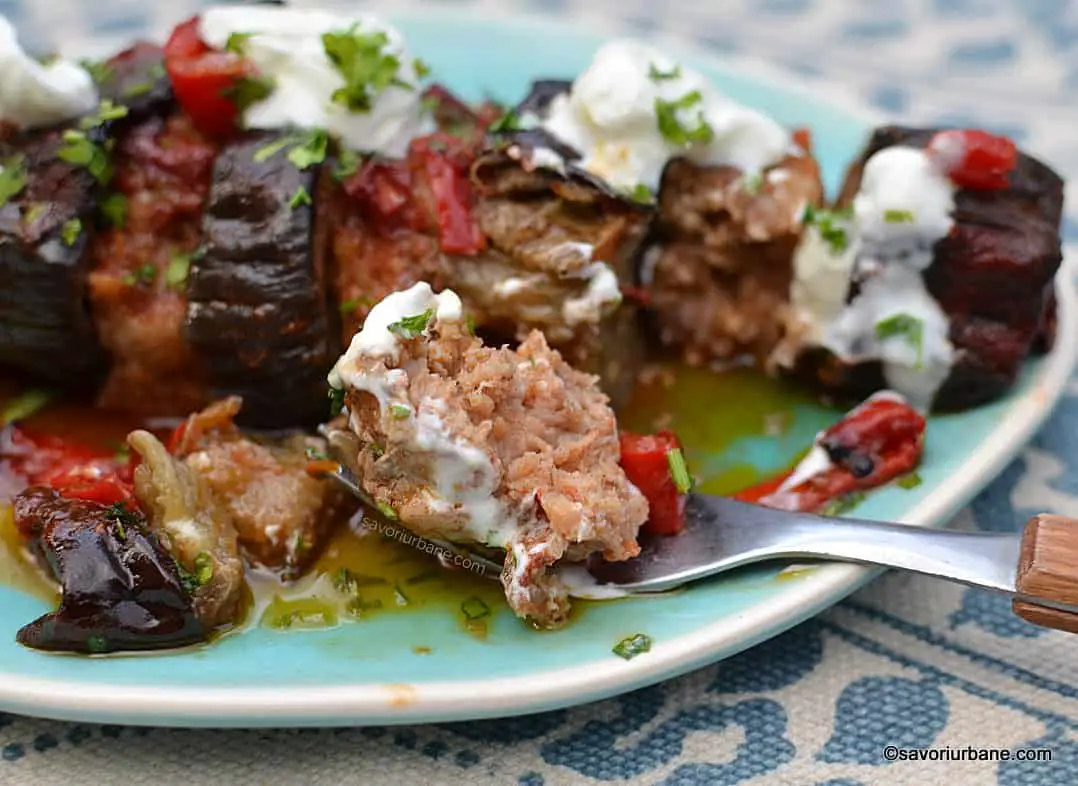 cele mai bune vinete la cuptor cu carne tocata kebab turcesc