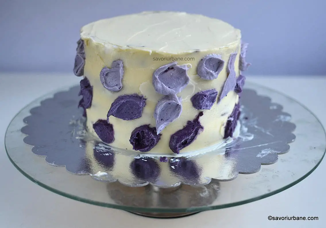 cum se decoreaza cu crema ombre un tort in degrade (1)