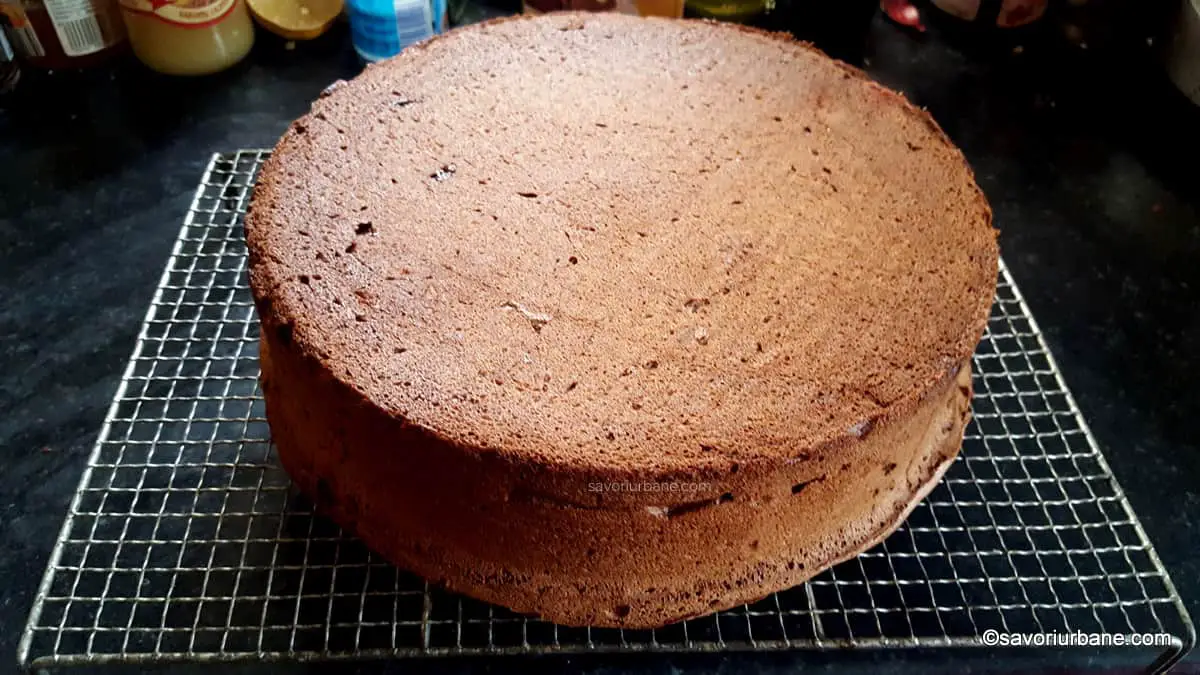 blat de tort pandispan cu cacao pentru tort cu ciocolata (1)