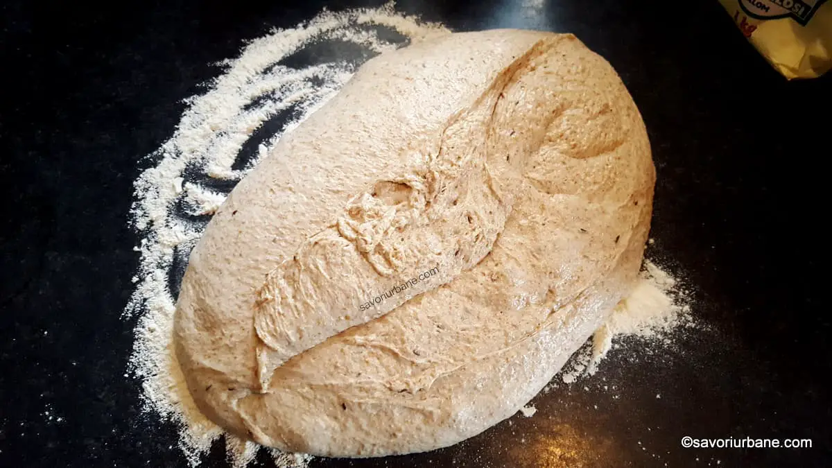 cum se da forma unei paini prin impaturire