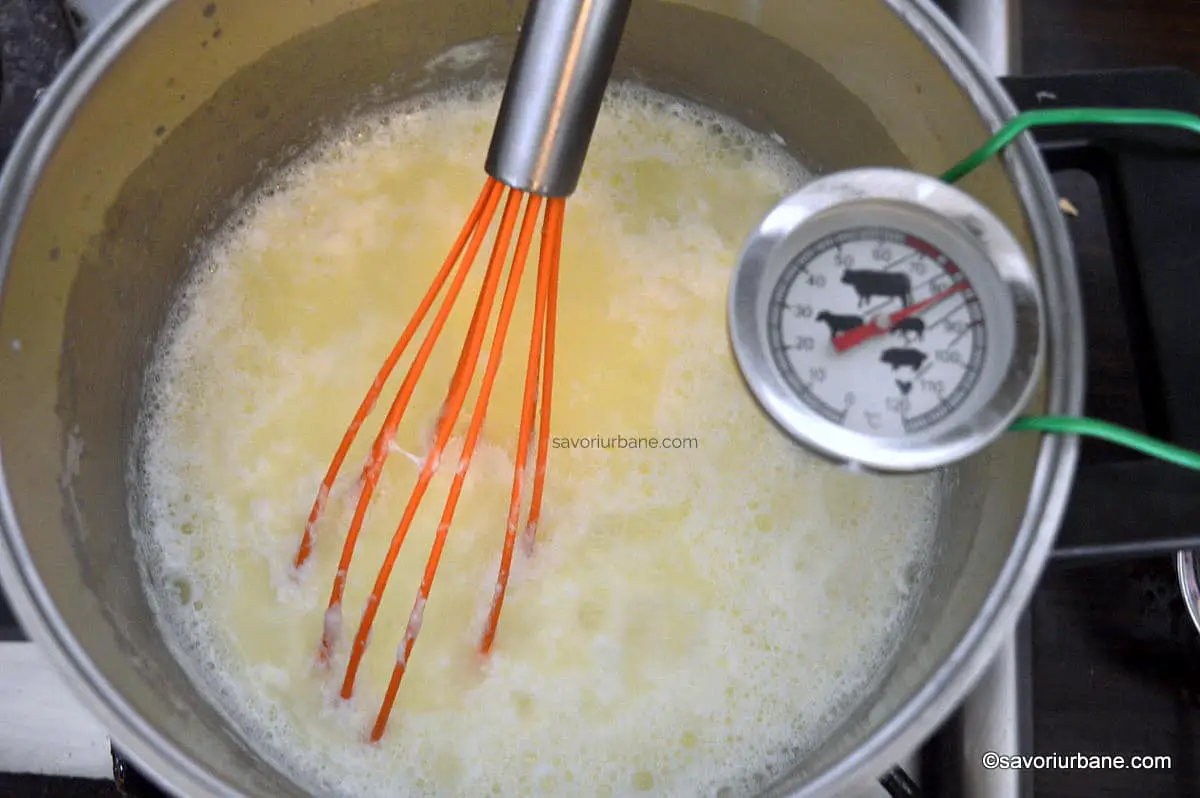 cum se fierbe laptele pentru crema de branza de casa (3)