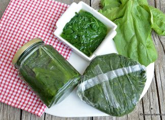 Spanac la borcan sau la congelator (ladă) pentru iarnă – rețeta și pentru urzici, lobodă, ștevie