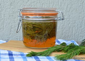 Sirop de muguri de brad cu miere – fără fierbere – extract natural la rece Sirop de muguri de brad cu miere - fără fierbere - extract natural la rece savori urbane