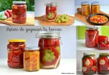 Gogoșari la borcan pentru iarnă – cei mai buni gogoșari murați sau marinați Gogoșari la borcan pentru iarnă - cei mai buni gogoșari murați sau marinați retete savori urbane