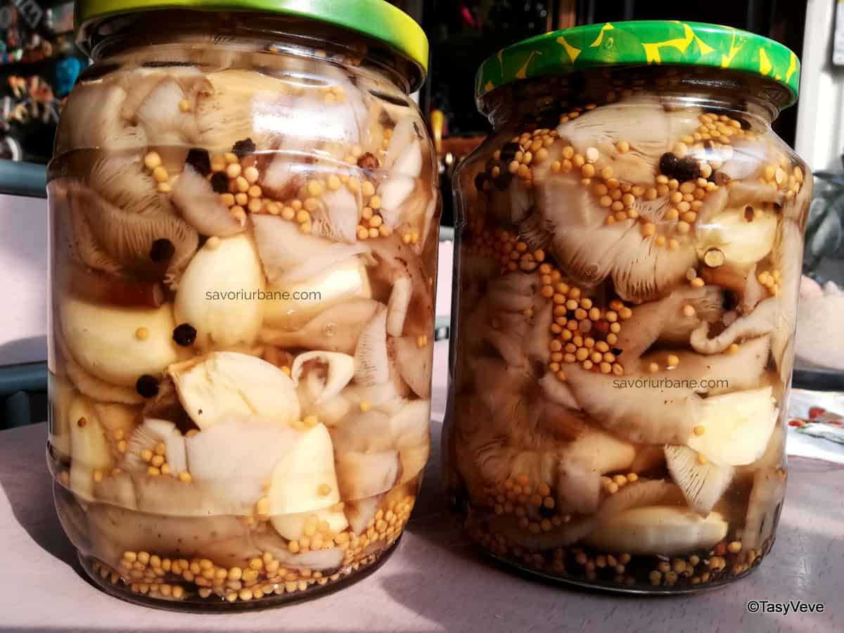 Ghebe marinate la borcan rețeta de ciuperci murate pentru iarnă savori urbane 1
