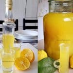 Limoncello rețeta italiană de lichior de lămâie limoncino preparat acasă