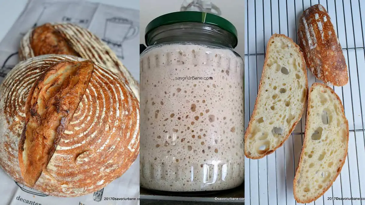 Cum se face maia naturală pentru pâine fără drojdie - rețeta de sourdough starter savori urbane