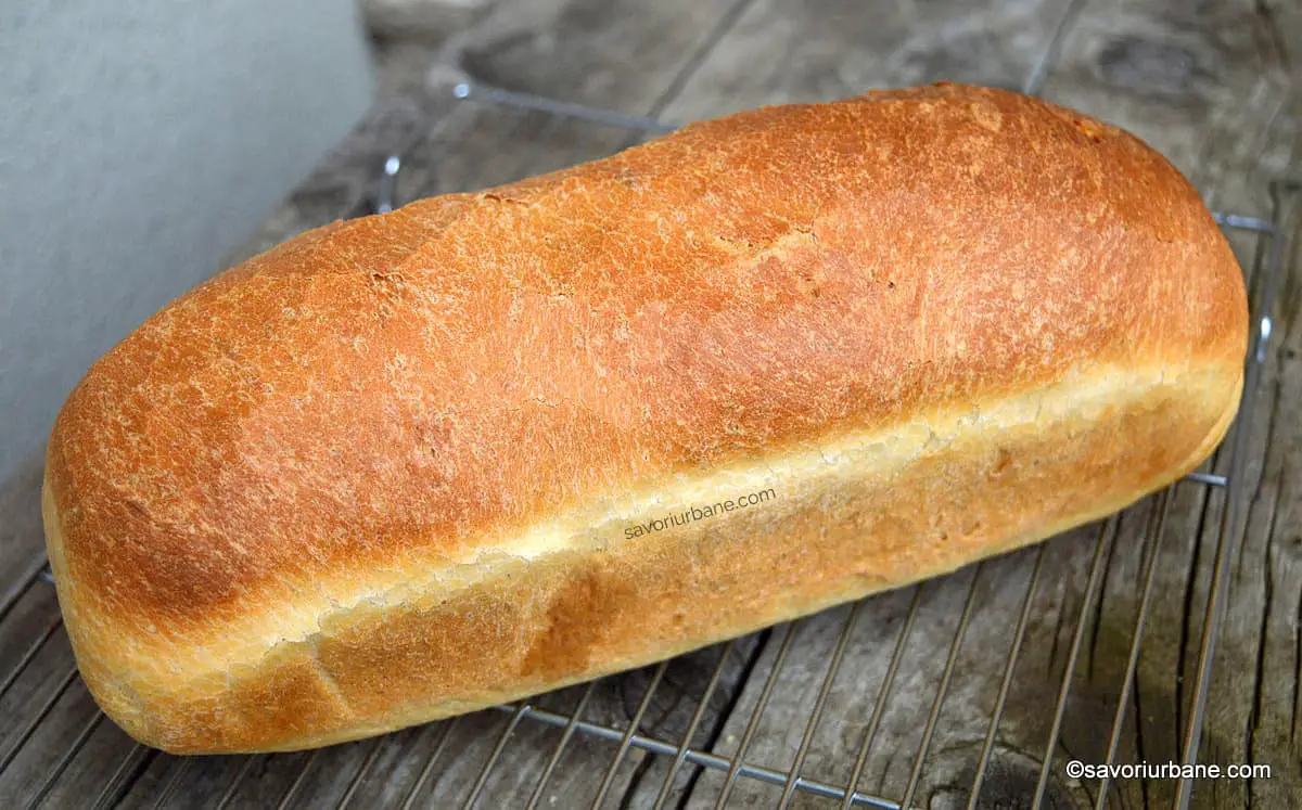 Pâine albă simplă și pufoasă coaptă în formă de cozonac (tip „cărămidă” sau toast) savori urbane