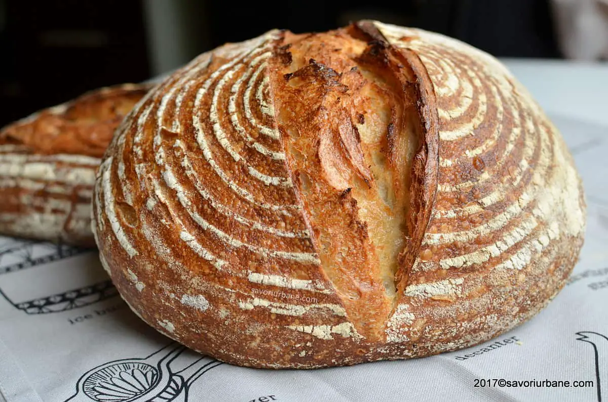 cea mai simpla reteta de paine cu maia naturala savori urbane