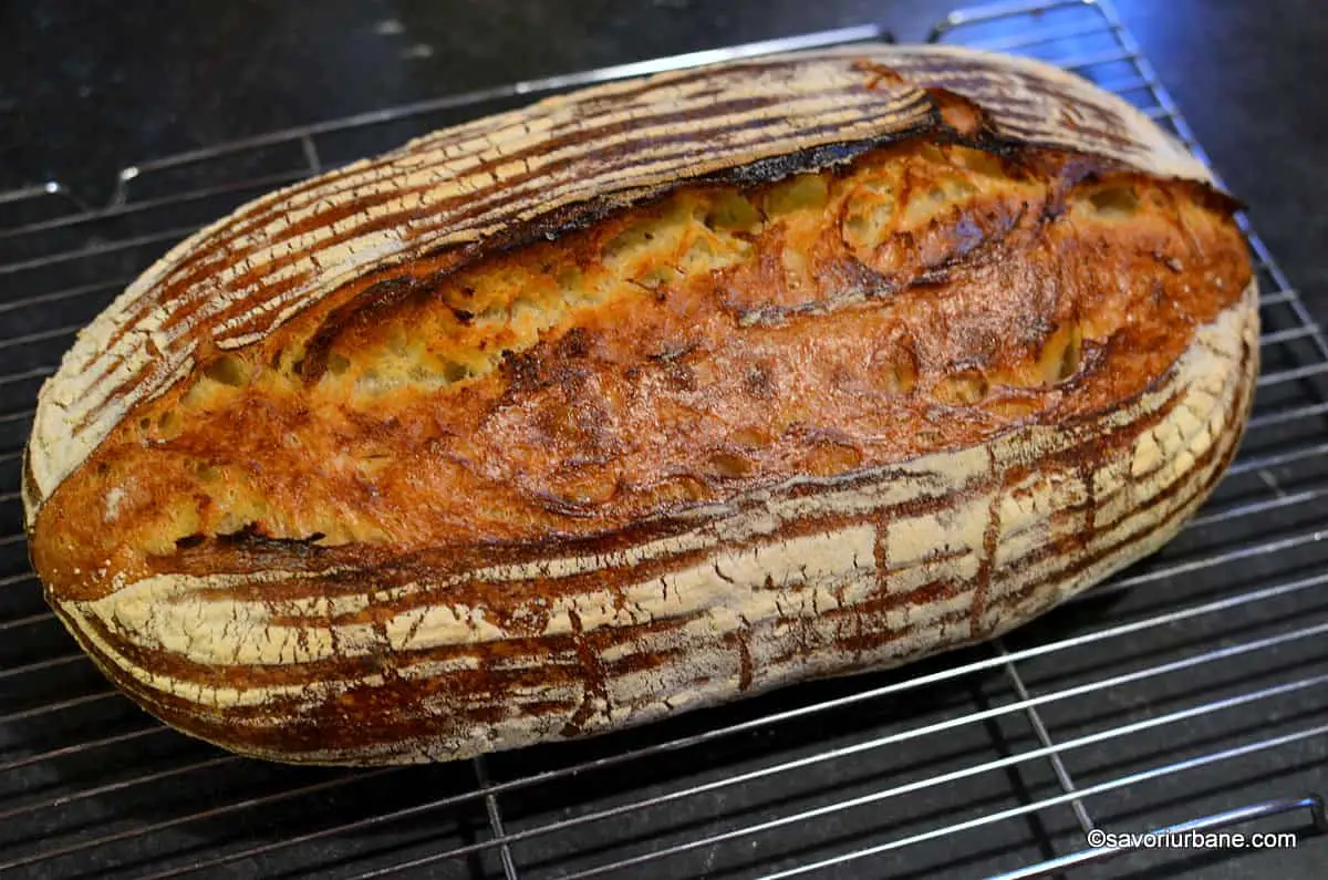 coacere paine de casa cu maia naturala franzela sau batard savori urbane (1)