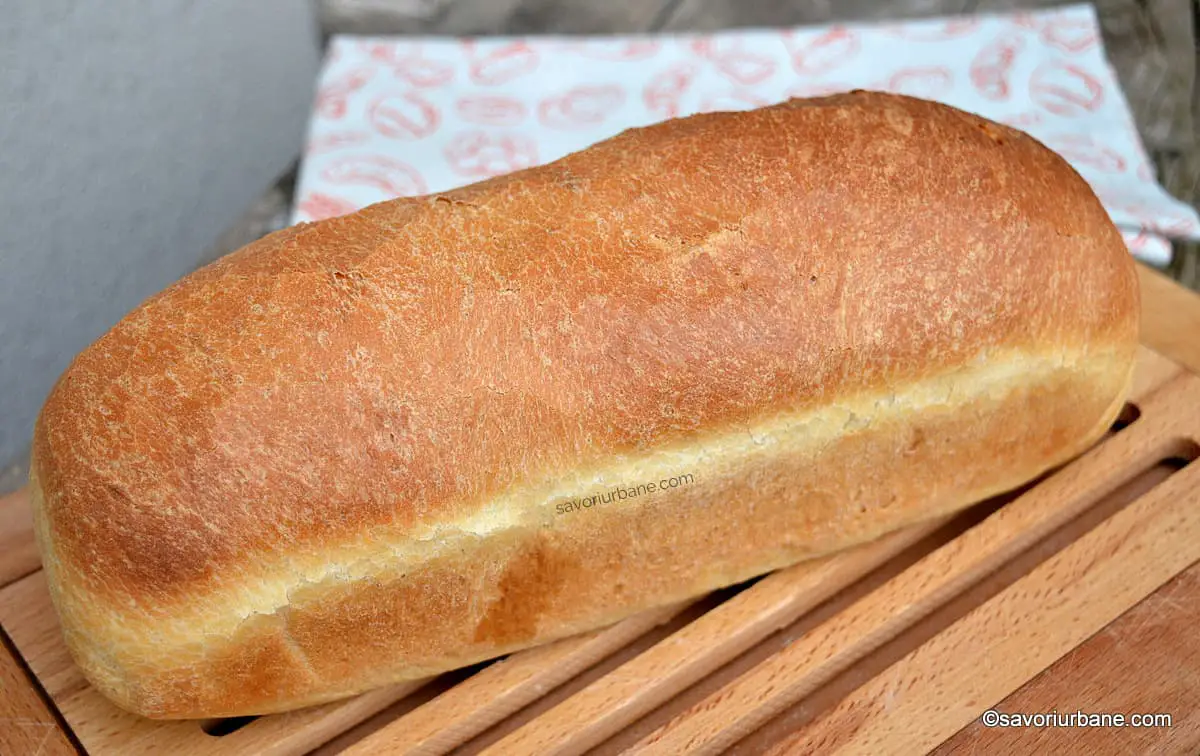 cum se face paine simpla de casa in forma