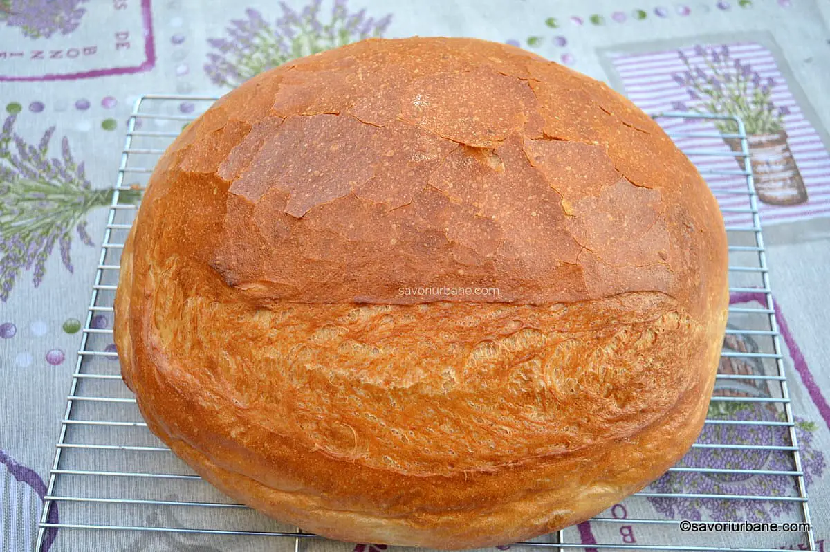 reteta traditionala szaraz regi kovaszos kenyer paine cu aluat vechi covasit