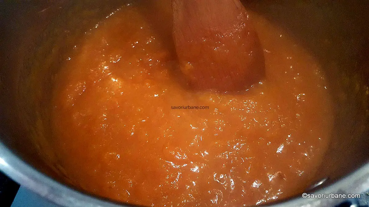 preparare gem de caise fara zahar marmelada naturala cu mere (3)