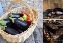 Cum se coc vinetele corect si cum se decojesc usor? Sfaturi utile + VIDEO Cum se coc vinetele corect si cum se decojesc usor - sfaturi utile si secrete savori urbane