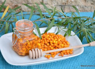 Cătină cu miere la borcan – rețeta simplă, sănătoasă și beneficiile cătinei Cătină cu miere la borcan - rețeta simplă, sănătoasă și beneficiile cătinei savori urbane
