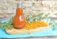 Sirop de cătină rețeta simplă fără conservanți Sirop de cătină rețeta simplă fără conservanți savori urbane