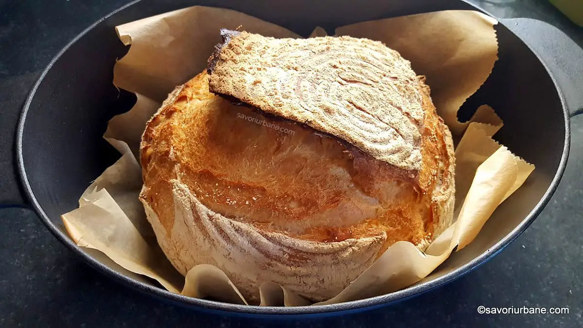 Pâine cu puțină drojdie (1 gram) rețeta de pâine de casă fără frământare și coaptă în oală savori urbane