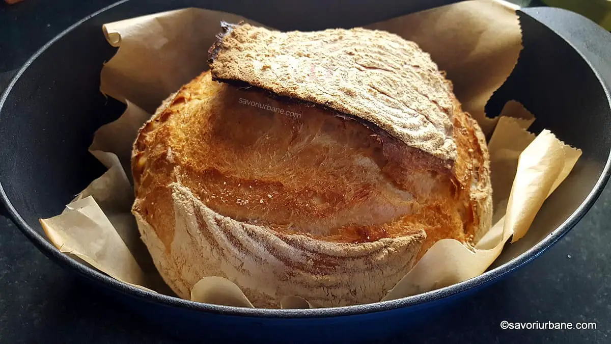 coacere paine fara framantare in oala de fonta cu capac sau dutch oven (2)