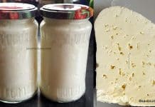 Brânză la borcan pentru iarnă – rețeta de caș frământat + VIDEO Brânză la borcan pentru iarnă - rețeta de caș frământat de oi savori urbane