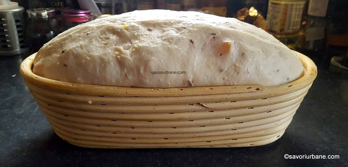 aluat de paine modelat si dospit corect in banetton sau cosulet de lemn nuiele (2)