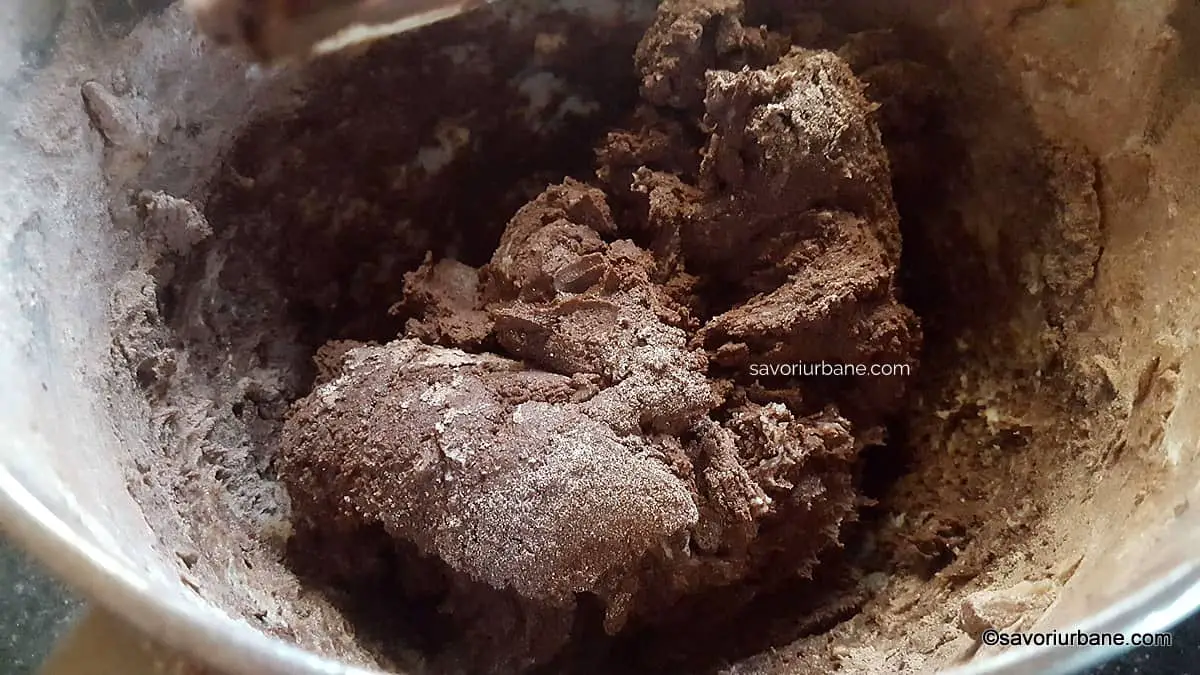 preparare reteta aluat fraged cu cacao si unt pentru tarte foi biscuiti fursecuri (4)