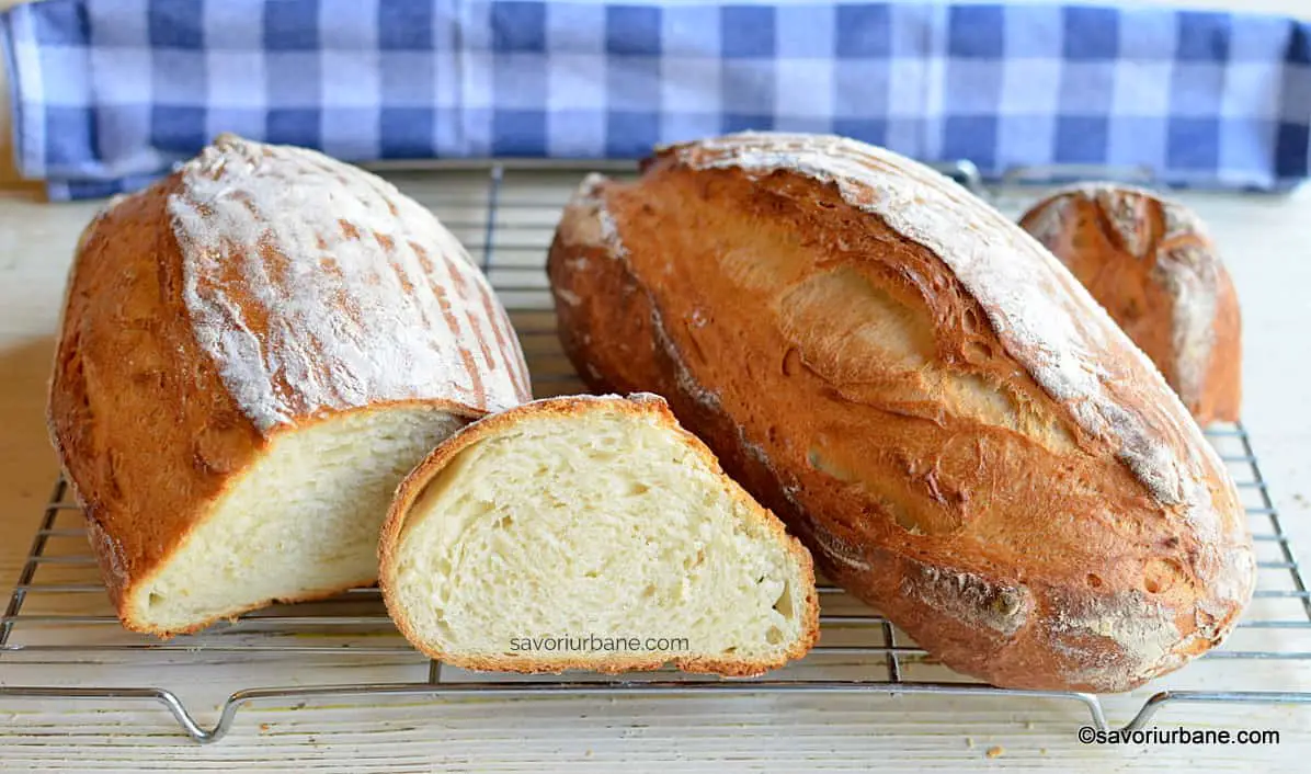 Pâine cu lapte bătut sau sana, iaurt, kefir - rețeta de pâine foarte pufoasă savori urbane