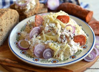 Cremă aperitiv cu brânză, ceapă și afumătură – rețeta ardelenească Cremă ardelenească de brânză cu ceapă și afumătură (cârnați, kaiser, șuncă etc) reteta savori urbane