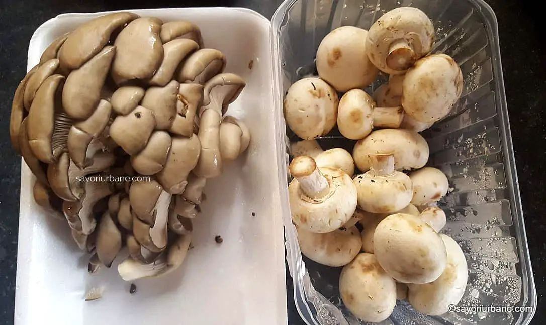 ciuperci proaspete champignon albe sau brune pleurotus