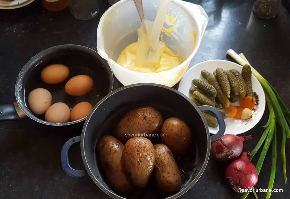 Ingrediente pentru salata de cartofi cu ceapă, maioneză, bacon, ouă fierte și castraveciori murați