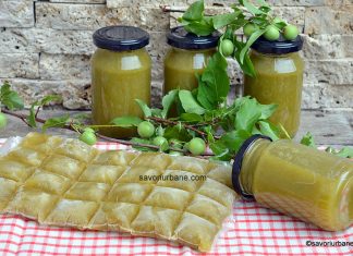 Pastă de corcodușe sau zarzăre la borcan sau la congelator – rețeta de bulion sau acreală pentru ciorbe Pastă de corcodușe sau zarzăre la borcan sau la congelator - rețeta de acreală pentru ciorbe savori urbane