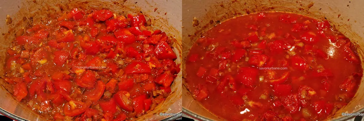 preparare sos de rosii cu ceapa usturoi ardei pentru mancare de pui cu vinete rumenite (2)