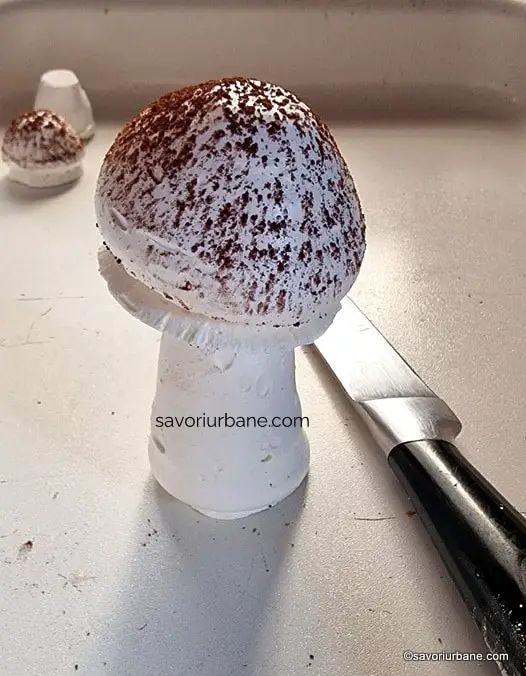proba ciupercuta de bezea