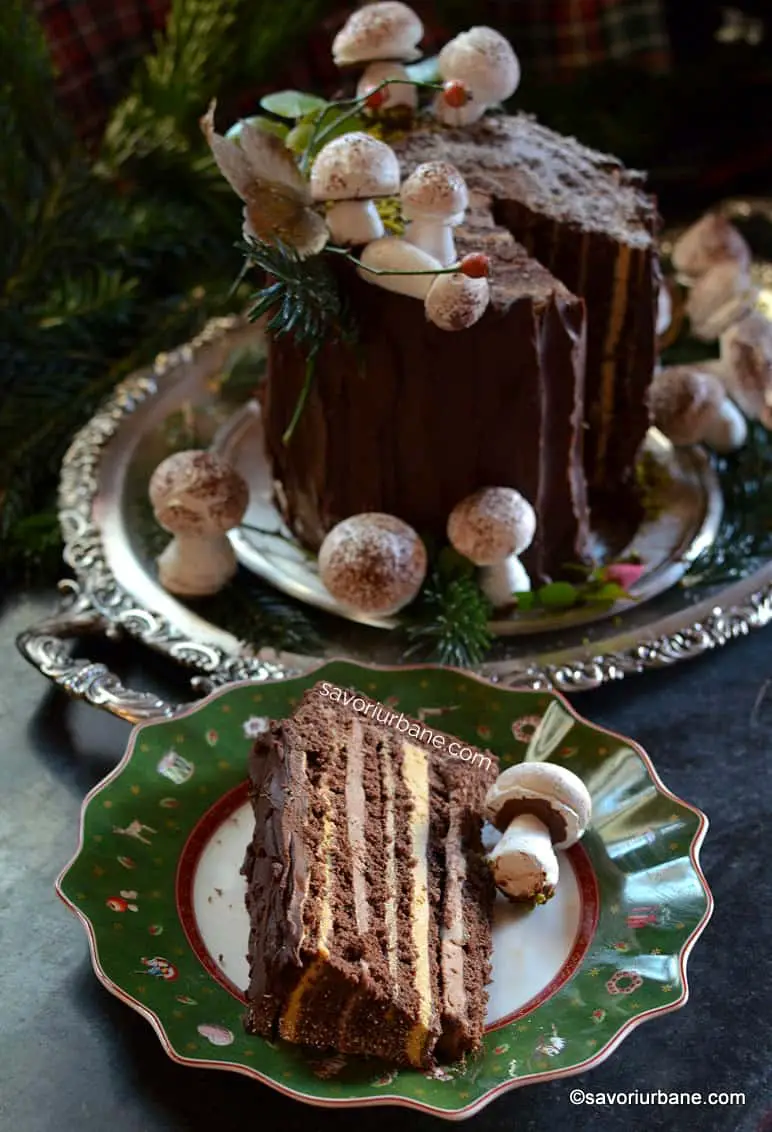 felie de tort rulada trunchi de copac sau buturuga verticala cu ciocolata castane caramel cafea savori