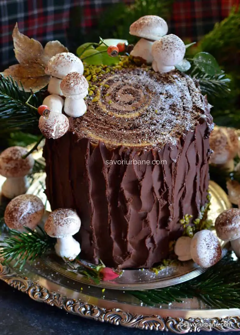 tort buturuga pus in picioare rulada trunchi de copac cu ciocolata caramel si castane