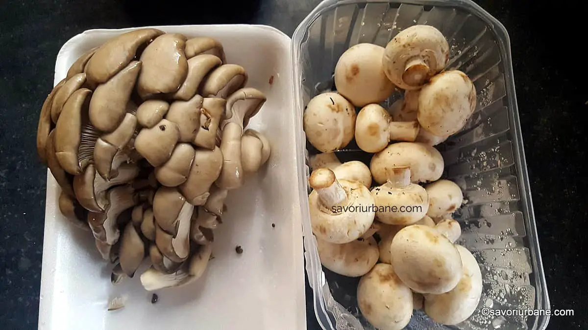 ciuperci proaspete pleurotus si champignon pentru ciorba stroganov