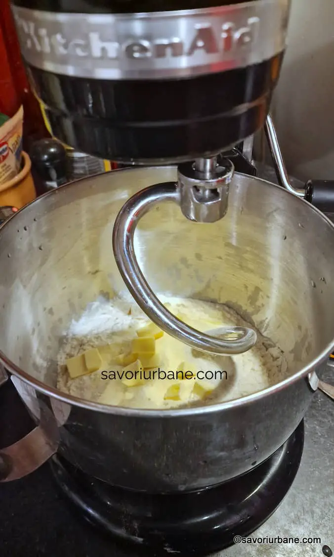 framantare aluat de croissant viennoiseries 10-15 minute (2)