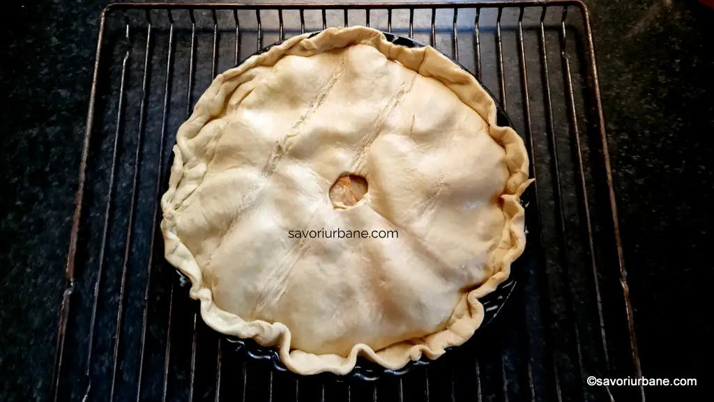Cum se aplică foaia de aluat peste merele coapte din forma de tartă (3)