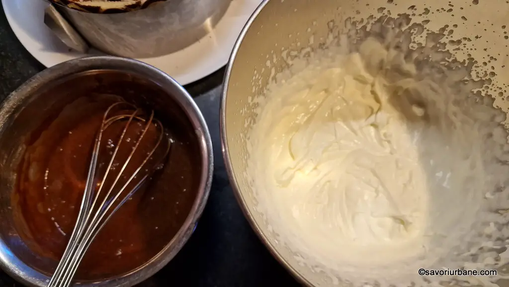 preparare crema bavareza cu ciocolata neagra frisca oua lapte gelatina