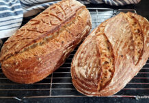 Pâine cu brânză de vaci, făină de secară și semințe Pâine cu brânză de vaci, făină de secară și semințe reteta savori urbane